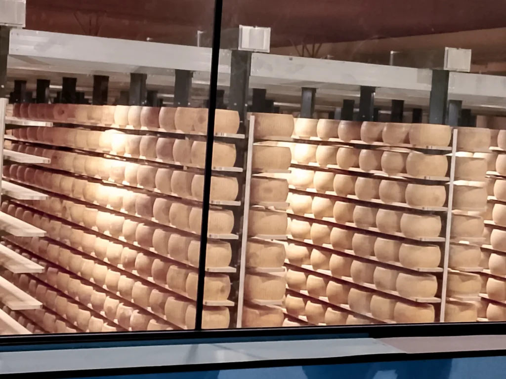 magazzino interno dell'edificio consorzio vacche rosse con scaffali di parmigiano reggiano